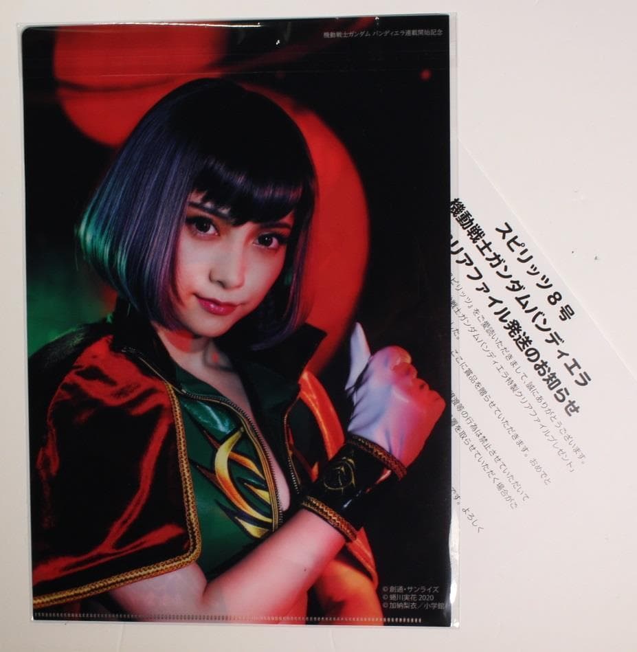 機動戦士ガンダム×桃月なしこ ジオン軍コスプレ クリアファイル 50名限定抽選品