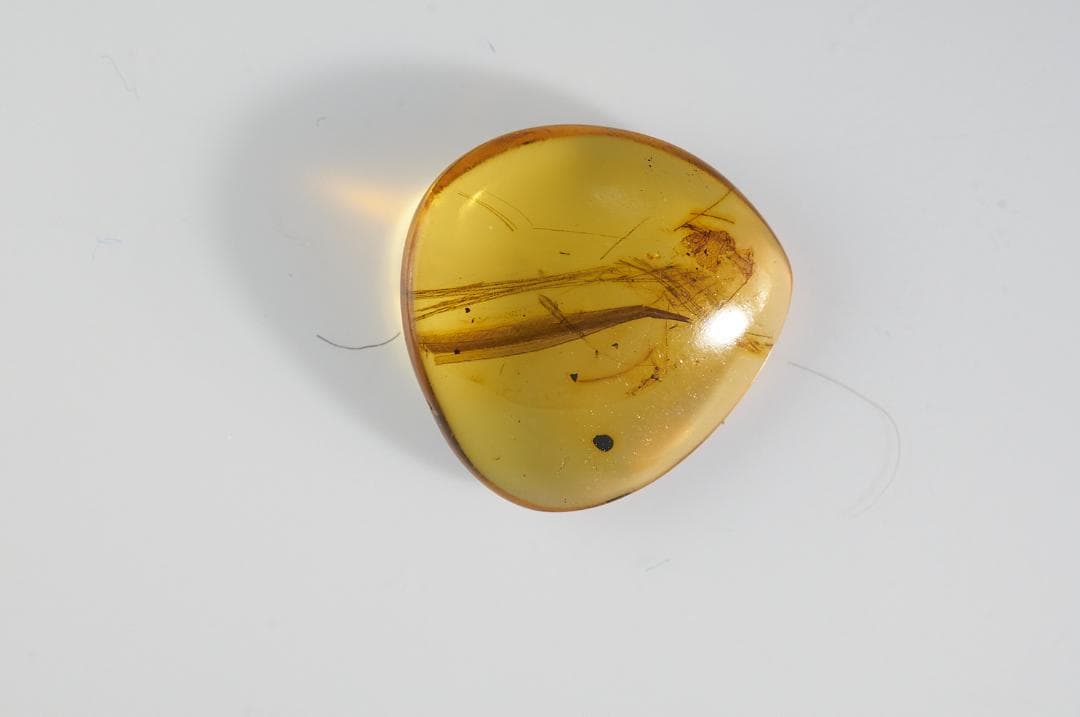 レア極上品 PA106虫入り琥珀化石　ミャンマーカムティかタナイ9900万年前