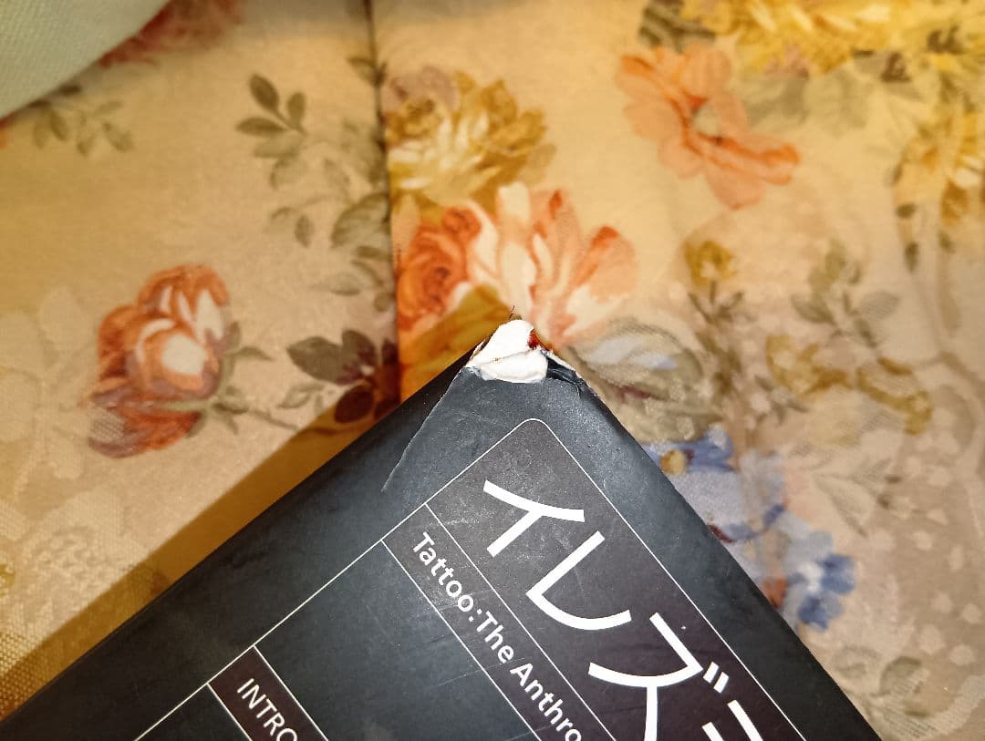 イレズミの世界 山本芳美著 入墨　タトゥー　刺青