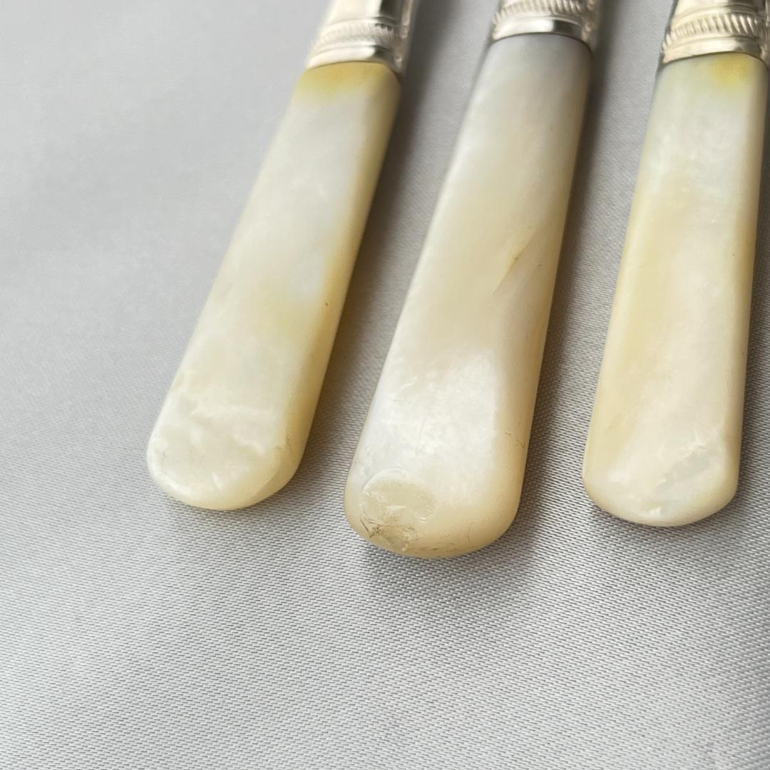 【英国】【白蝶貝】デザート / フルーツセット 12本 マザーオブパール ケース