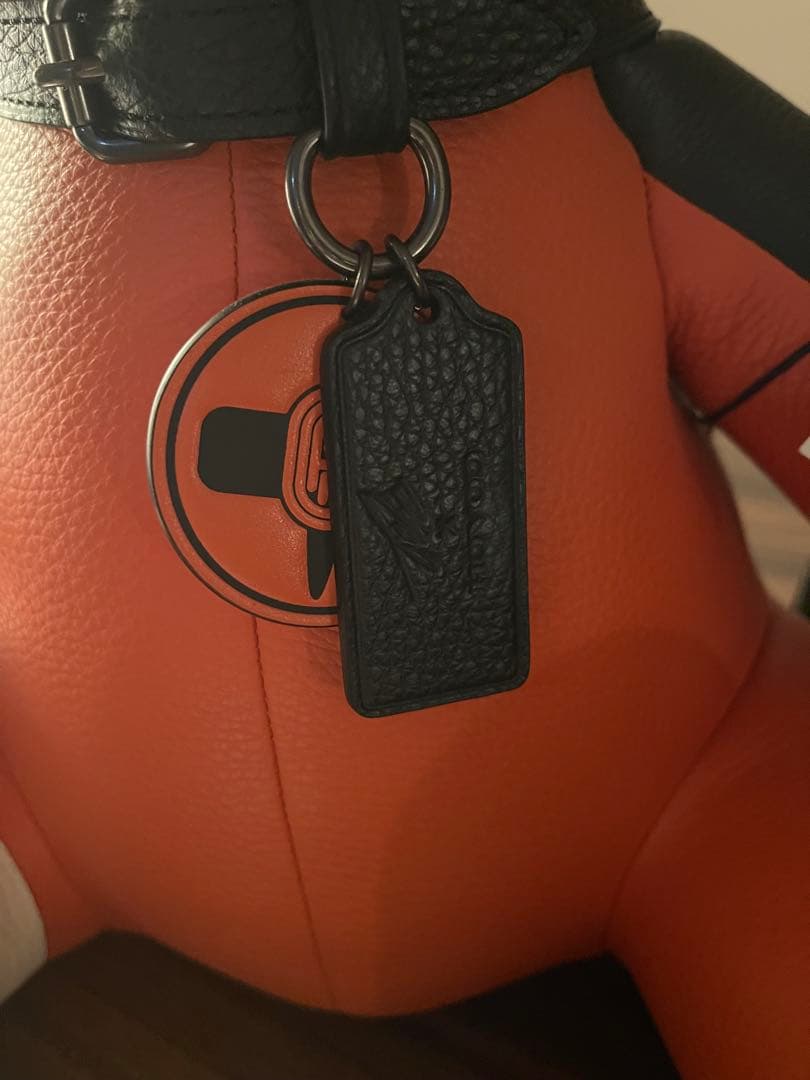 【COACH】 コーチとナルトのコラボレーションテディベア