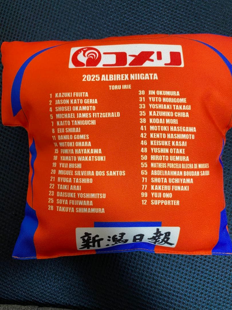 アルビレックス新潟　高木善朗　直筆サイン入り　クッション