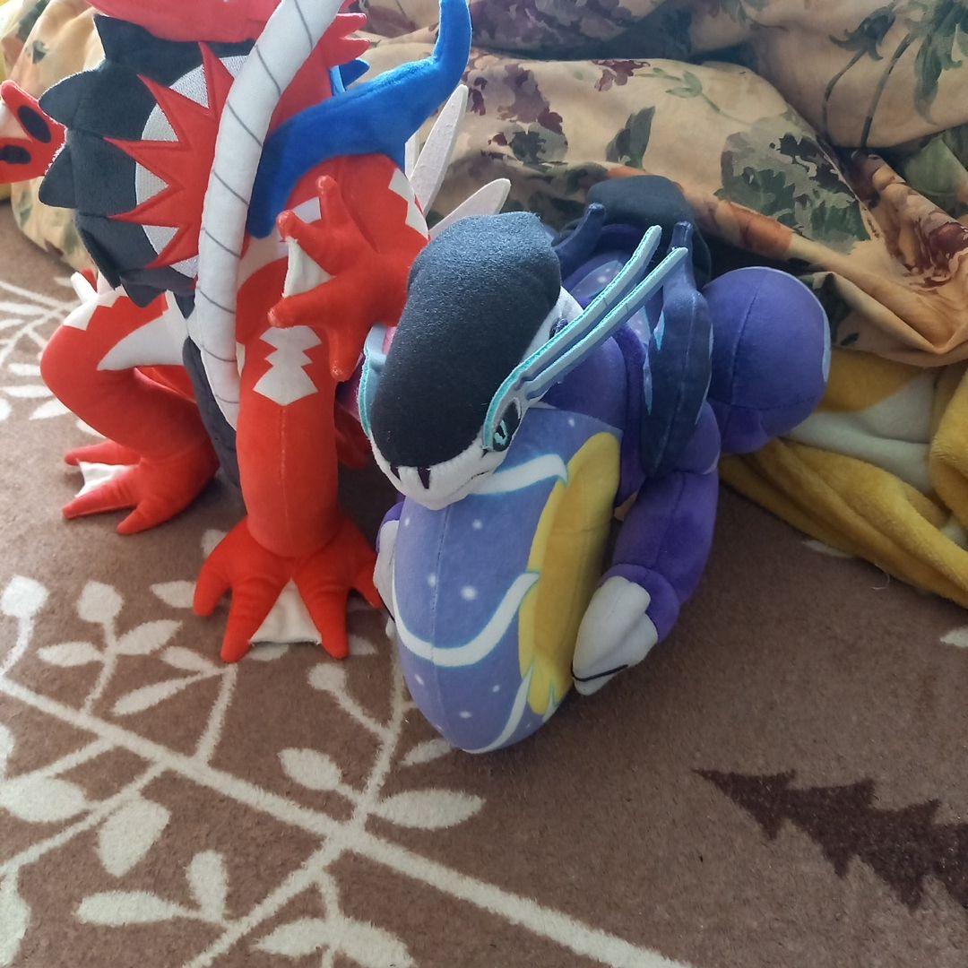 ポケモン　ミライドン＆コライドン　約３０センチ