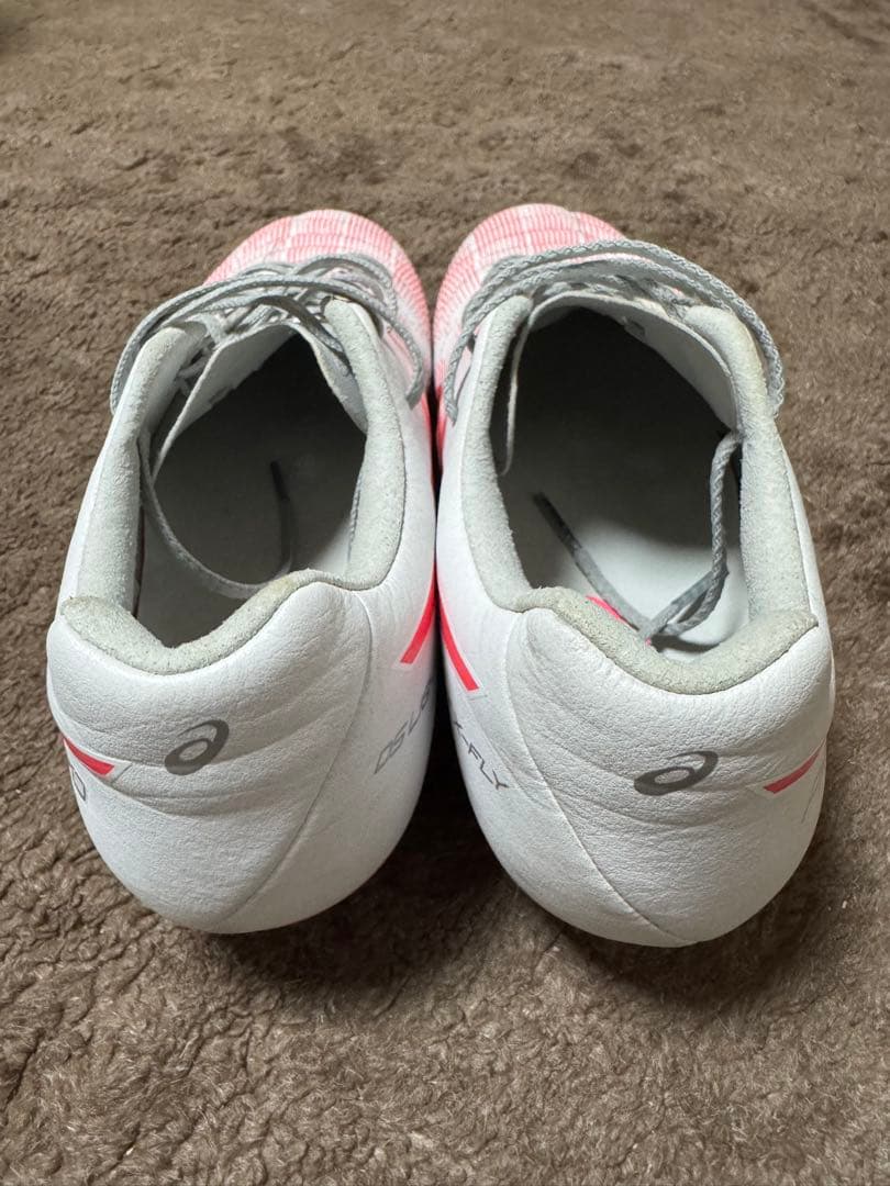 DS LIGHT(ディーエスライト)」リミテッドモデル