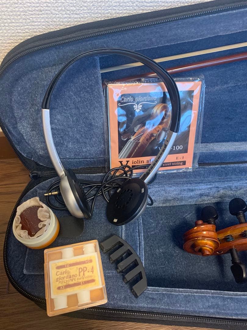 カルロジョルダーノ EV-202(C) エレクトリックバイオリン