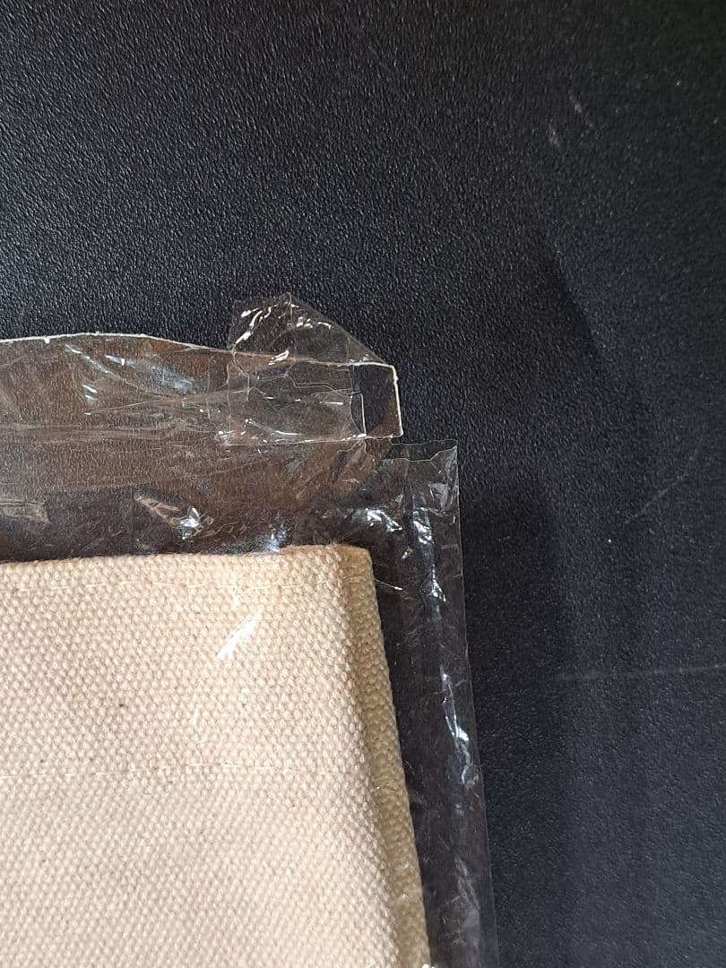 西野カナ 当選品バッグ