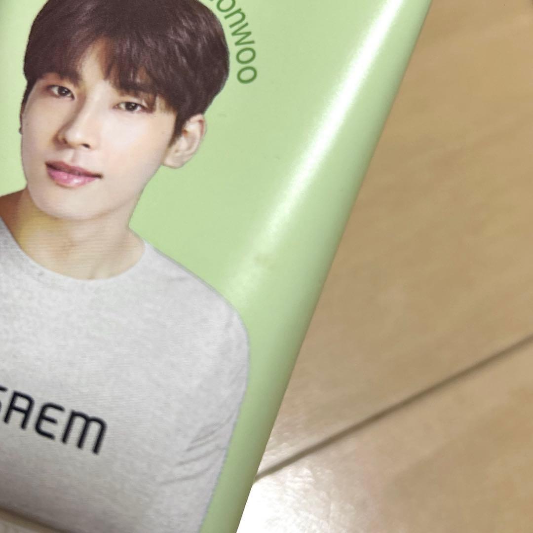 SEVENTEEN セブチ the SAEM ザセム コラボ ウォヌ セット