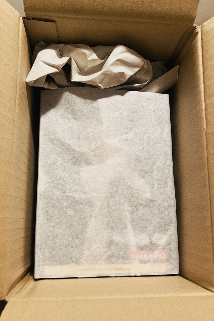 figma ゼルダの伝説 ゼルダ ティアーズ オブ ザ キングダムver