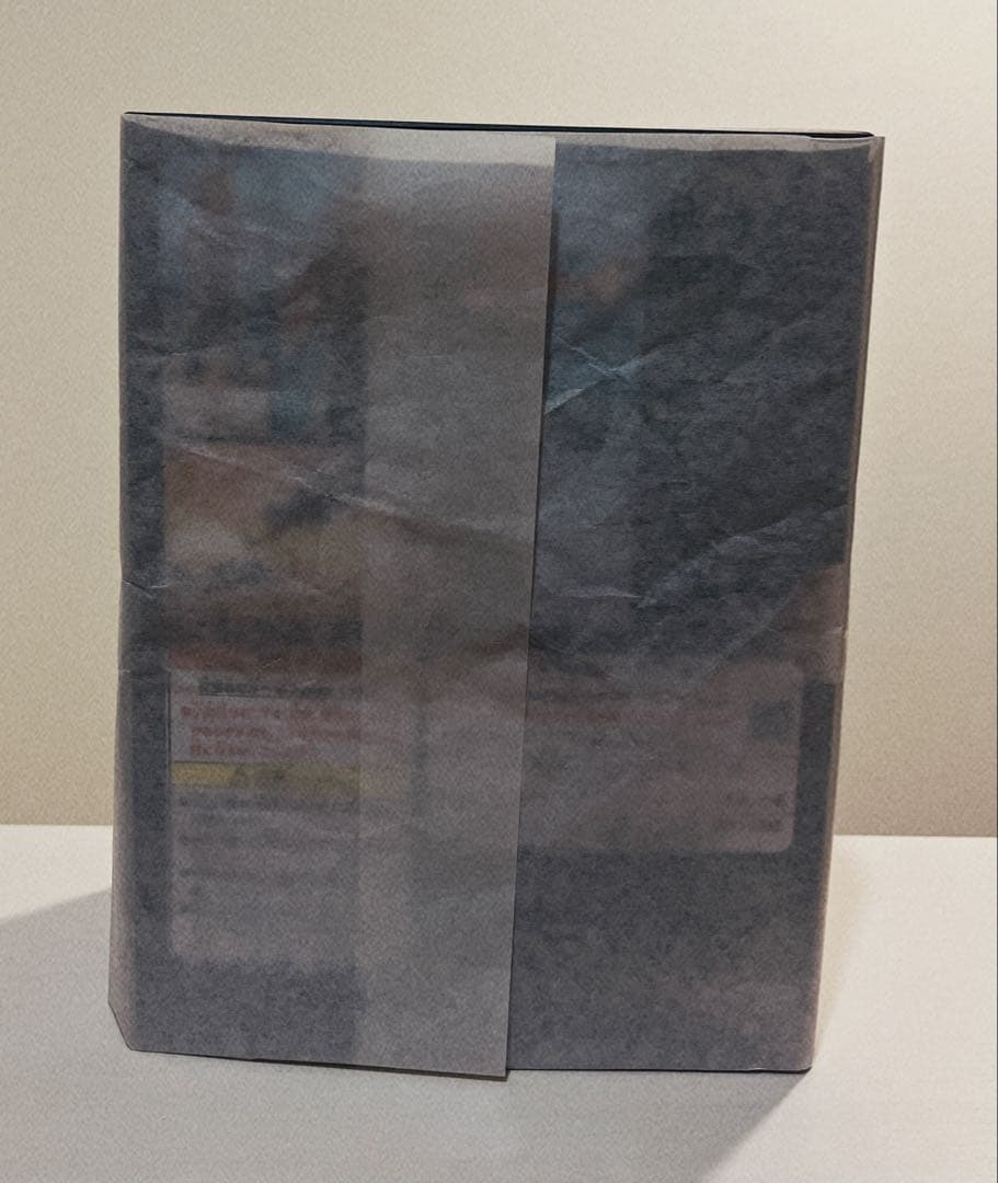 figma ゼルダの伝説 ゼルダ ティアーズ オブ ザ キングダムver