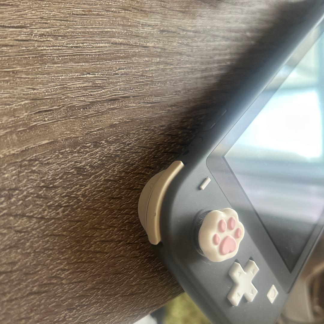 Nintendo Switch lite グレー本体