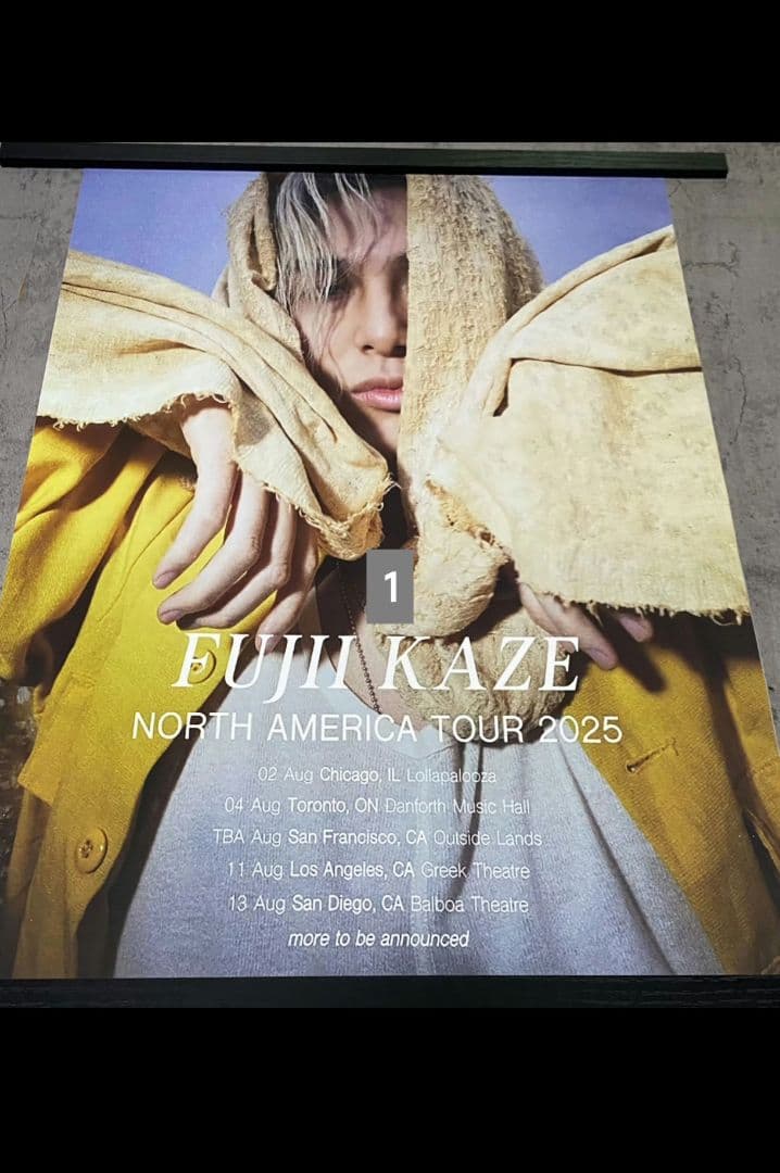 多種選択特大ポスター