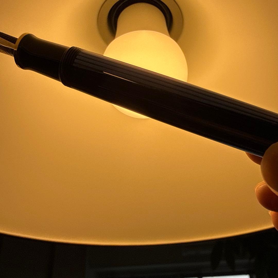 ペリカン Pelikan 万年筆 M600 スーベレーン 青縞 F 細字