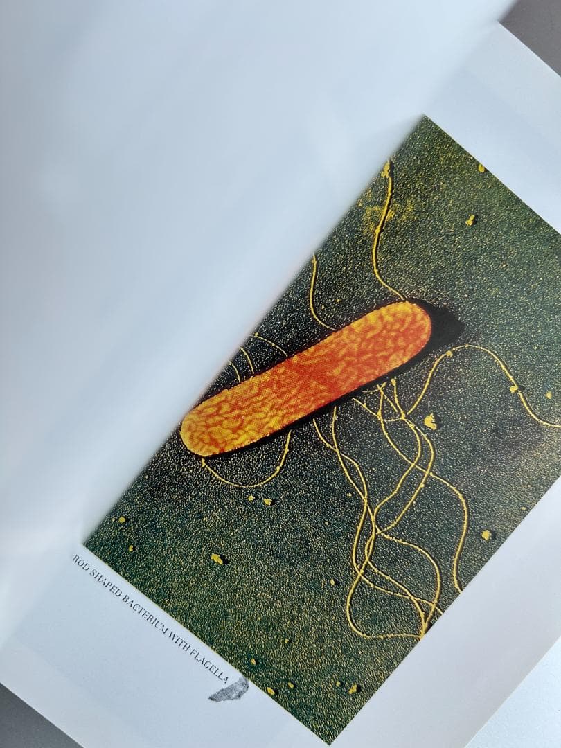 アート・デザイン・音楽 La Maison Martin Margiela : (9/4/1615)