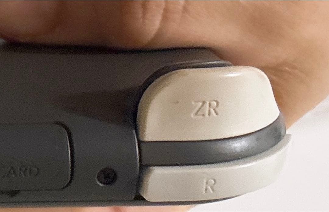 【ジャンク品】Nintendo Switch Lite 本体 充電器付き