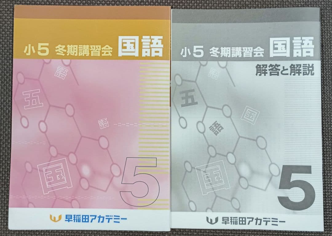 今だけオフ❗️ 小5 冬期講習 早稲田アカデミー 早稲アカ上位校5年生