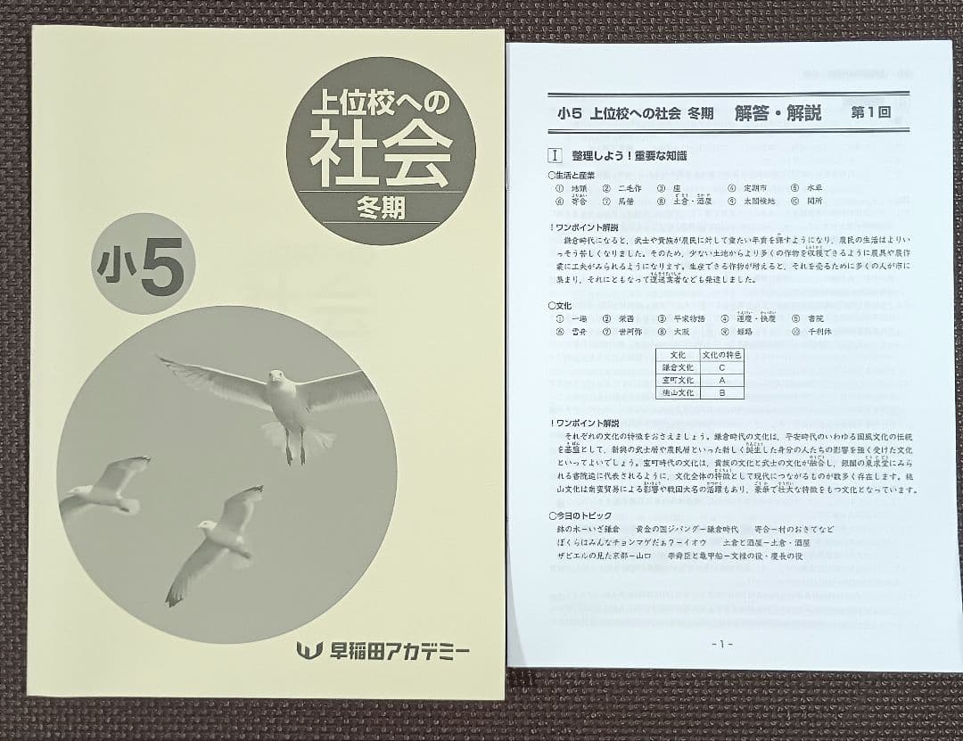 今だけオフ❗️ 小5 冬期講習 早稲田アカデミー 早稲アカ上位校5年生
