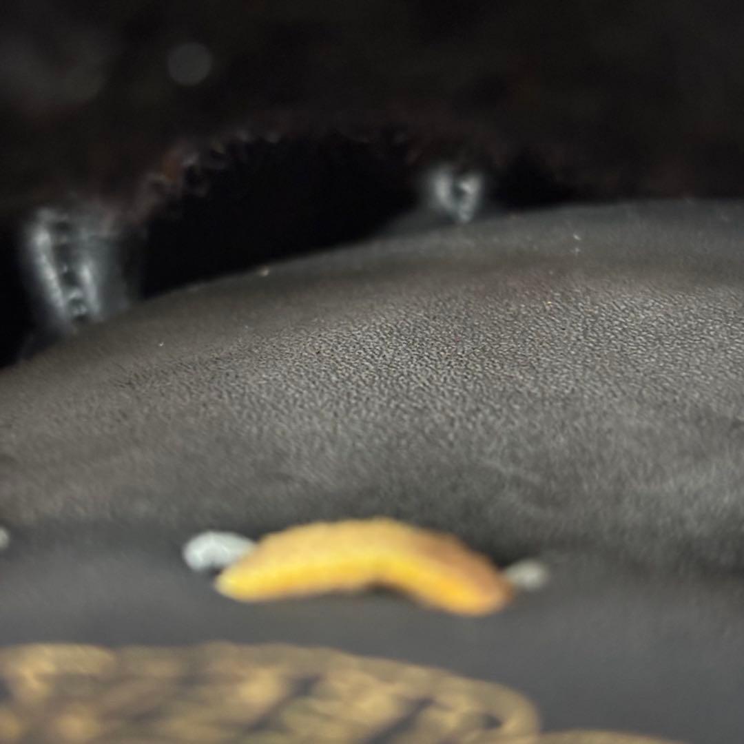 ✨新品未使用✨ ミズノ ビクトリーステージ 硬式 外野用 イチローモデル