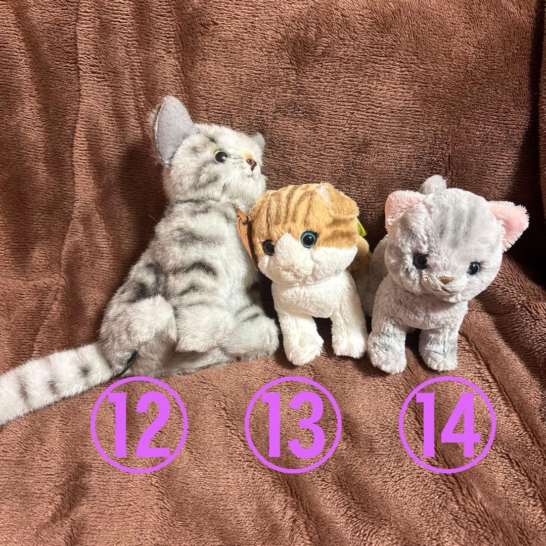 【大量】にゃんこだけ！ぬいぐるみセット【まとめ売り】