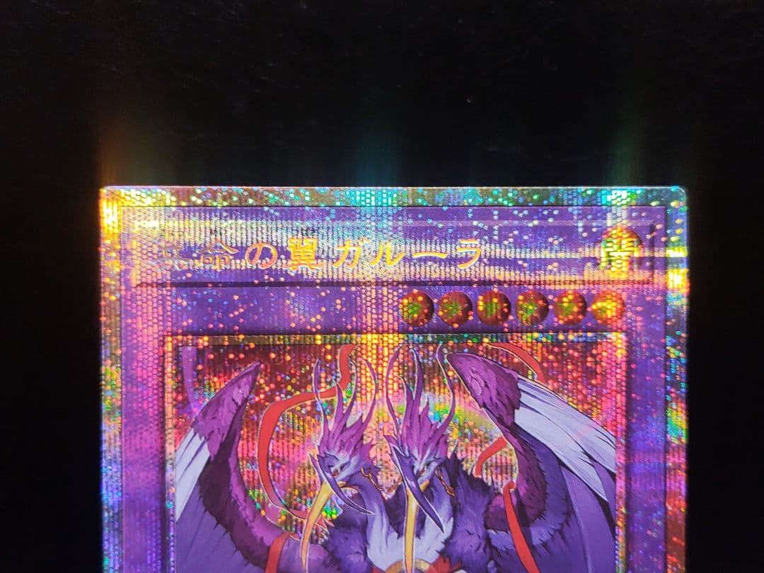 【遊戯王YG】共命の翼ガルーラ　プリシク