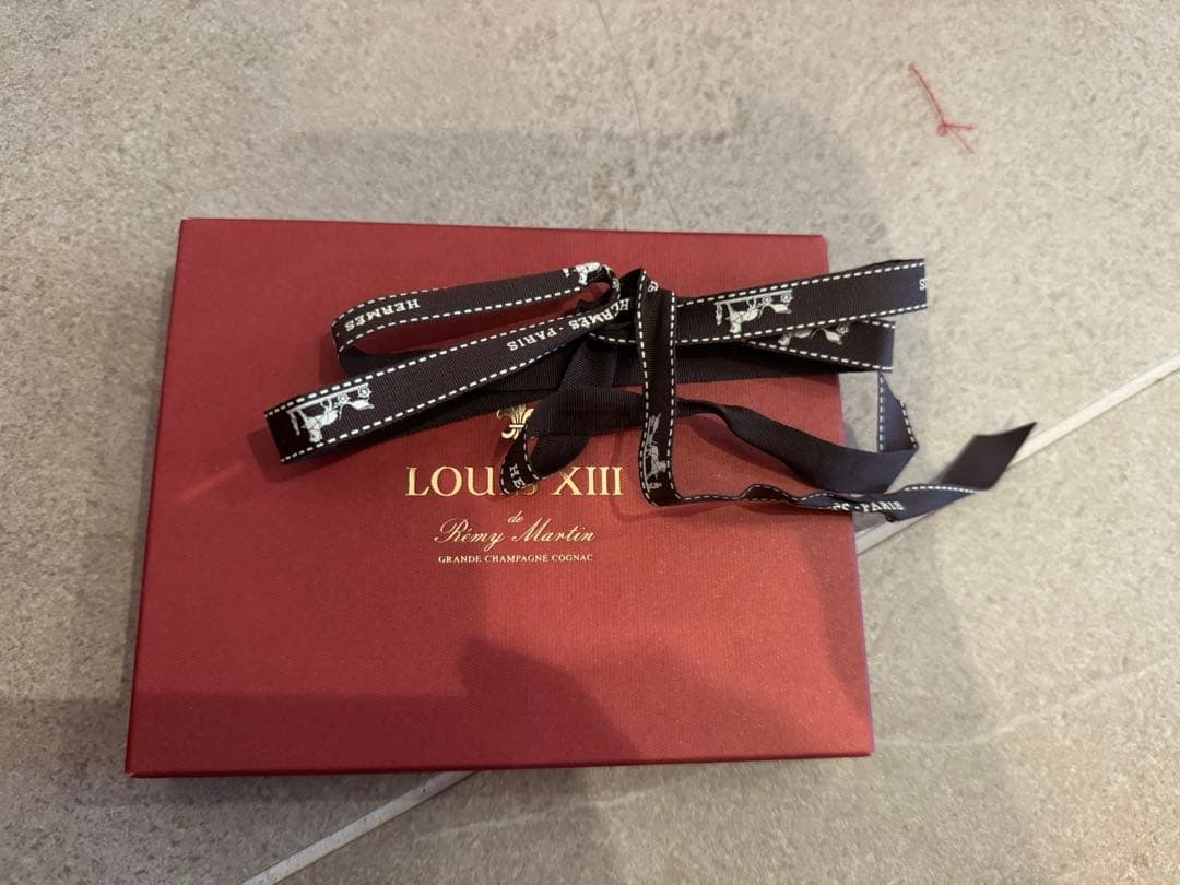 エルメス　ルイ13世コラボ　パスポートケース