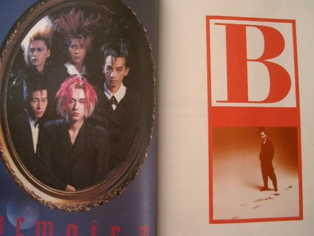 BUCK-TICK 写真集・バクチク HYPER アーティストＢＯＯＫ