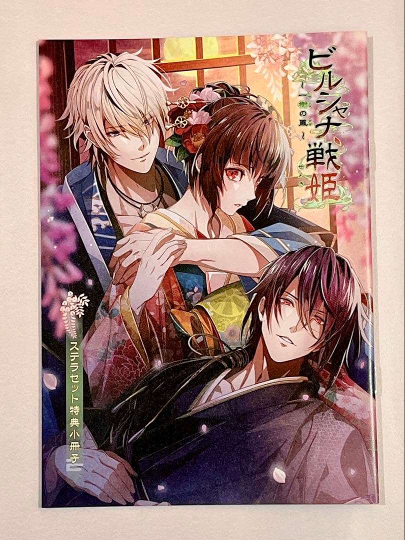 ビルシャナ戦姫 ビルシャナ 小冊子 冊子 4冊セット ステラワース