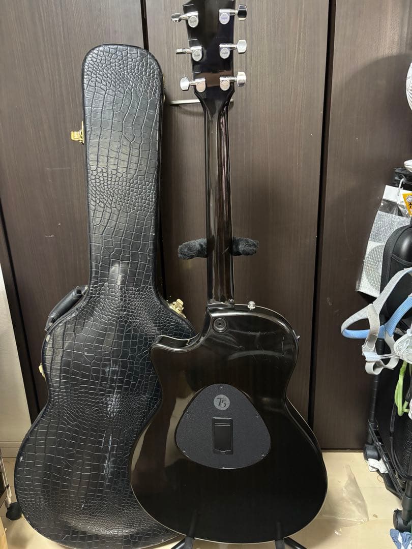 Taylor T5 エレアコ