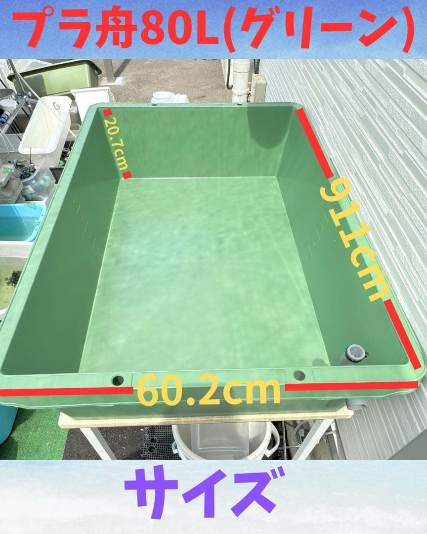 メダカ容器オーバーフロー加工 トロ舟80L 2個セットプラ舟NVボックスメダカ