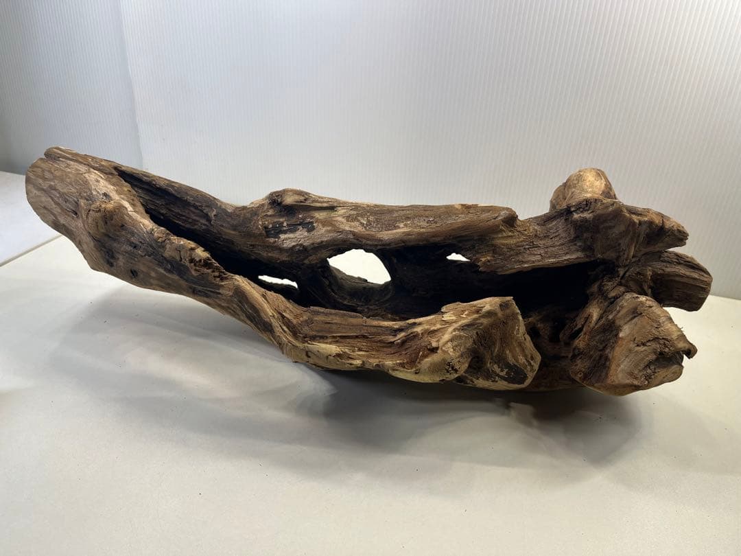 R63アク抜き済み流木 爬虫類シェルター 登り木 インテリア 生け花