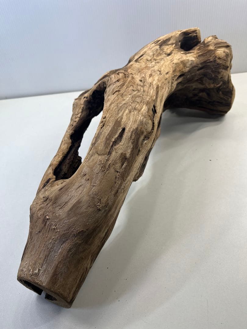 R63アク抜き済み流木 爬虫類シェルター 登り木 インテリア 生け花