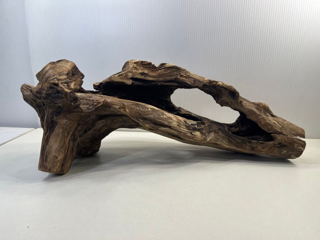 R63アク抜き済み流木 爬虫類シェルター 登り木 インテリア 生け花