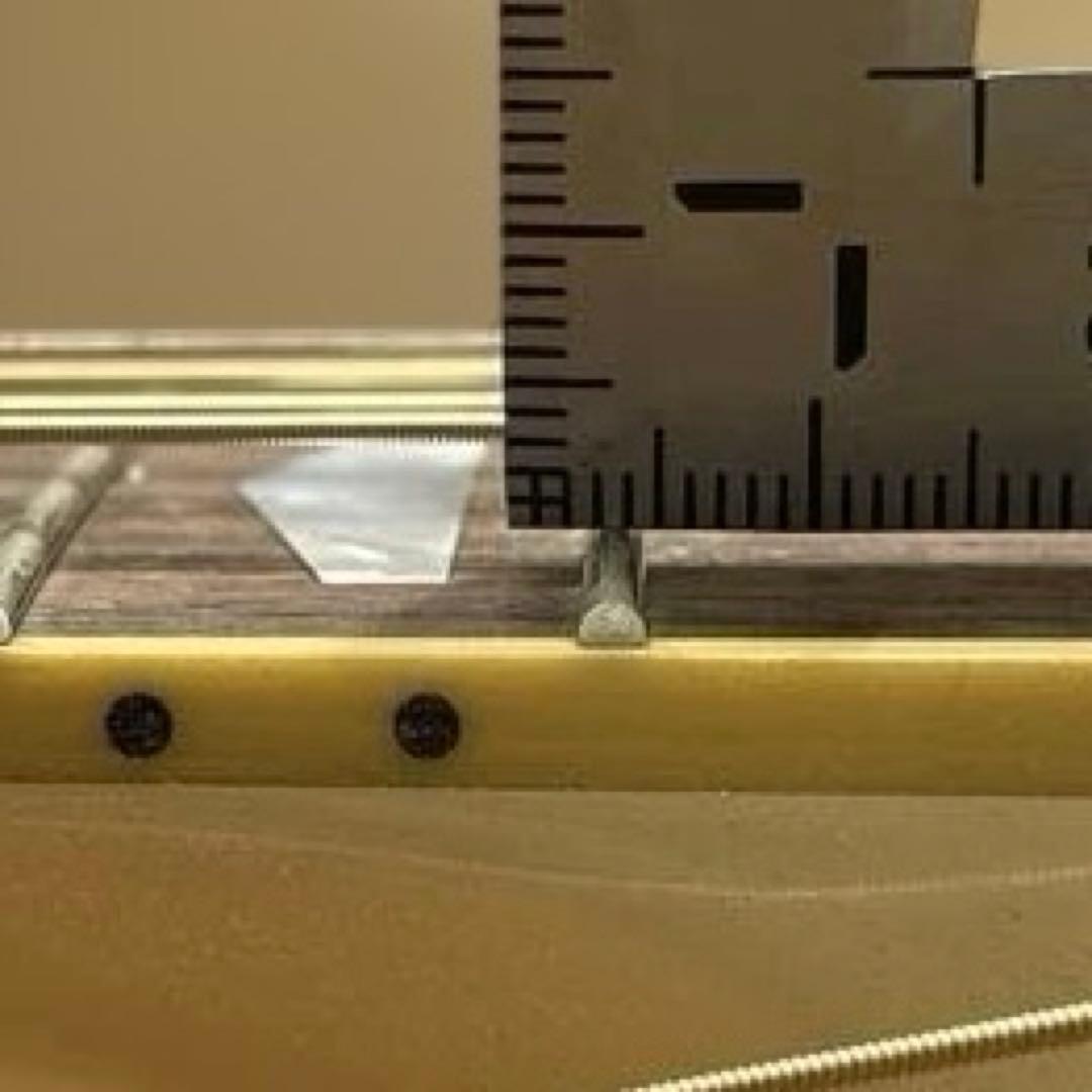 6828 APX1000(PW) ヤマハ エレアコ パールホワイト ソフトケース