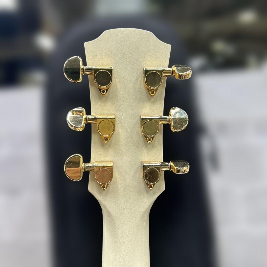 6828 APX1000(PW) ヤマハ エレアコ パールホワイト ソフトケース