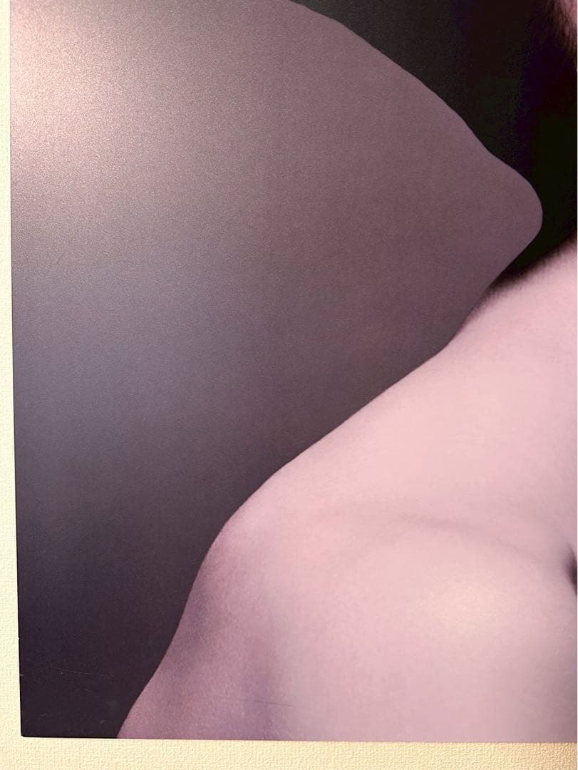 BoConcept (ボーコンセプト) アートパネル メタルプリント