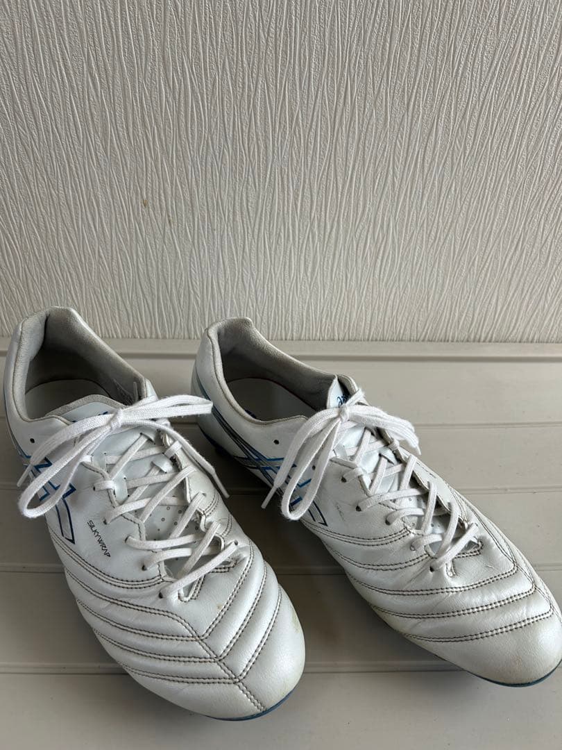 【ASICS DS LIGHT X-FLY PRO 3】 28.0cm