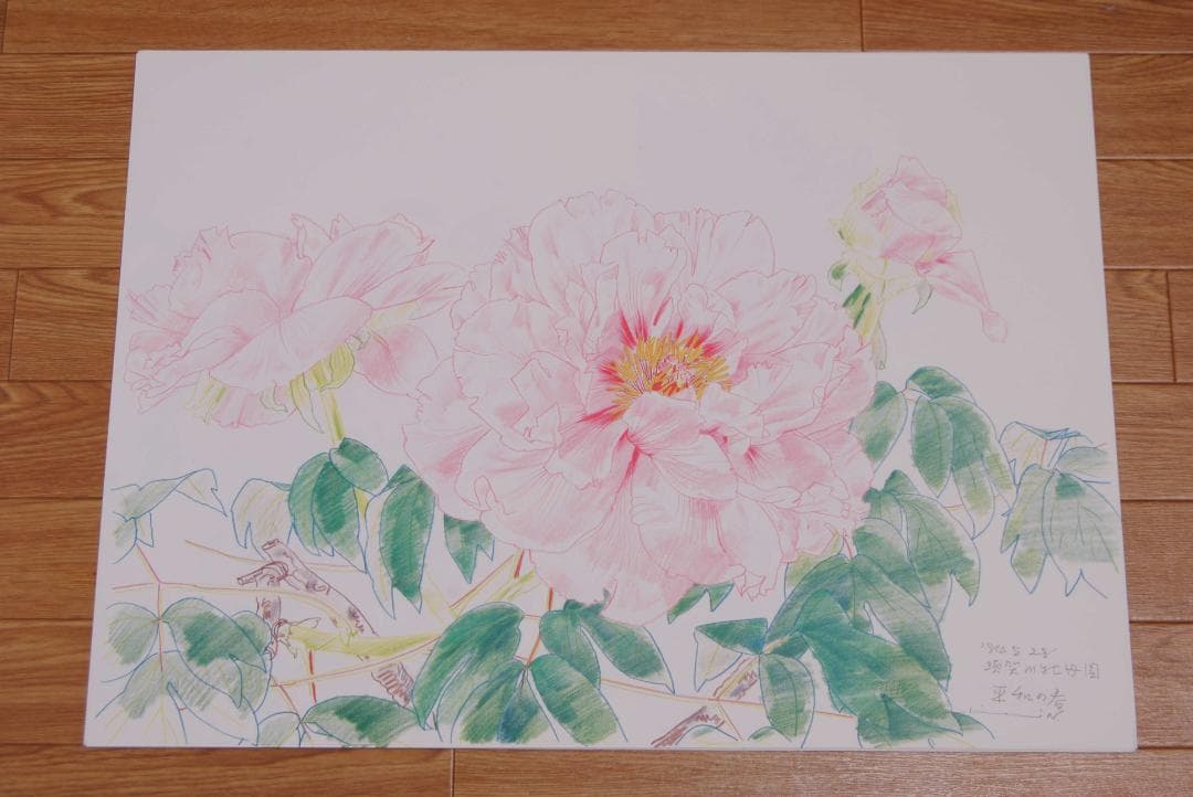 中島千波　花の写生１２葉　絵画　 12枚セット　求龍堂