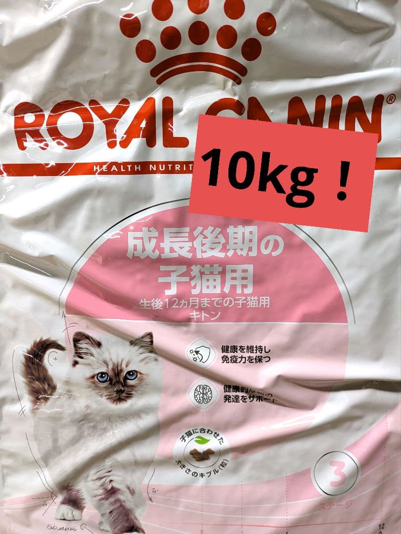  CANIN 子猫用(キトン) 10kg