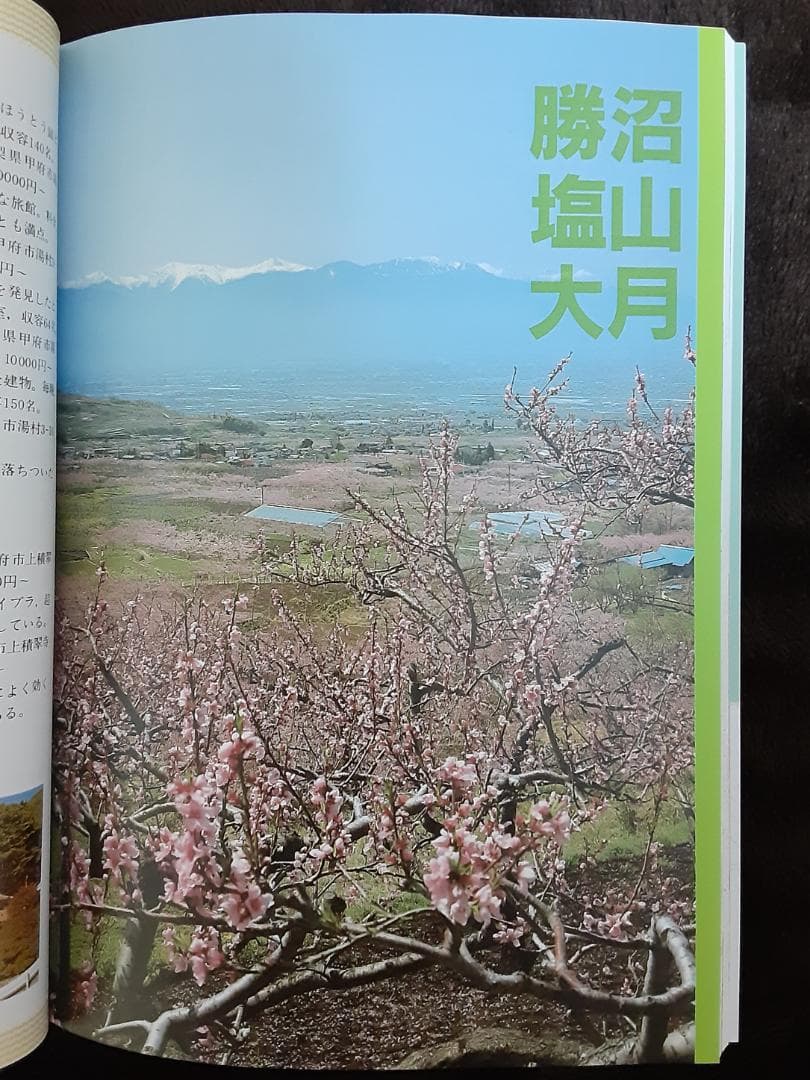 エアリアガイド16　甲斐路・清里　ペンション徹底紹介　昭文社