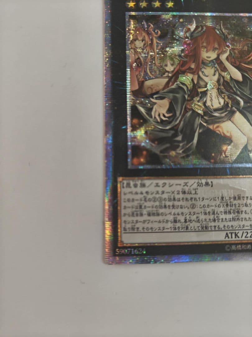 アロメルスの蠱惑魔、20th  アジア