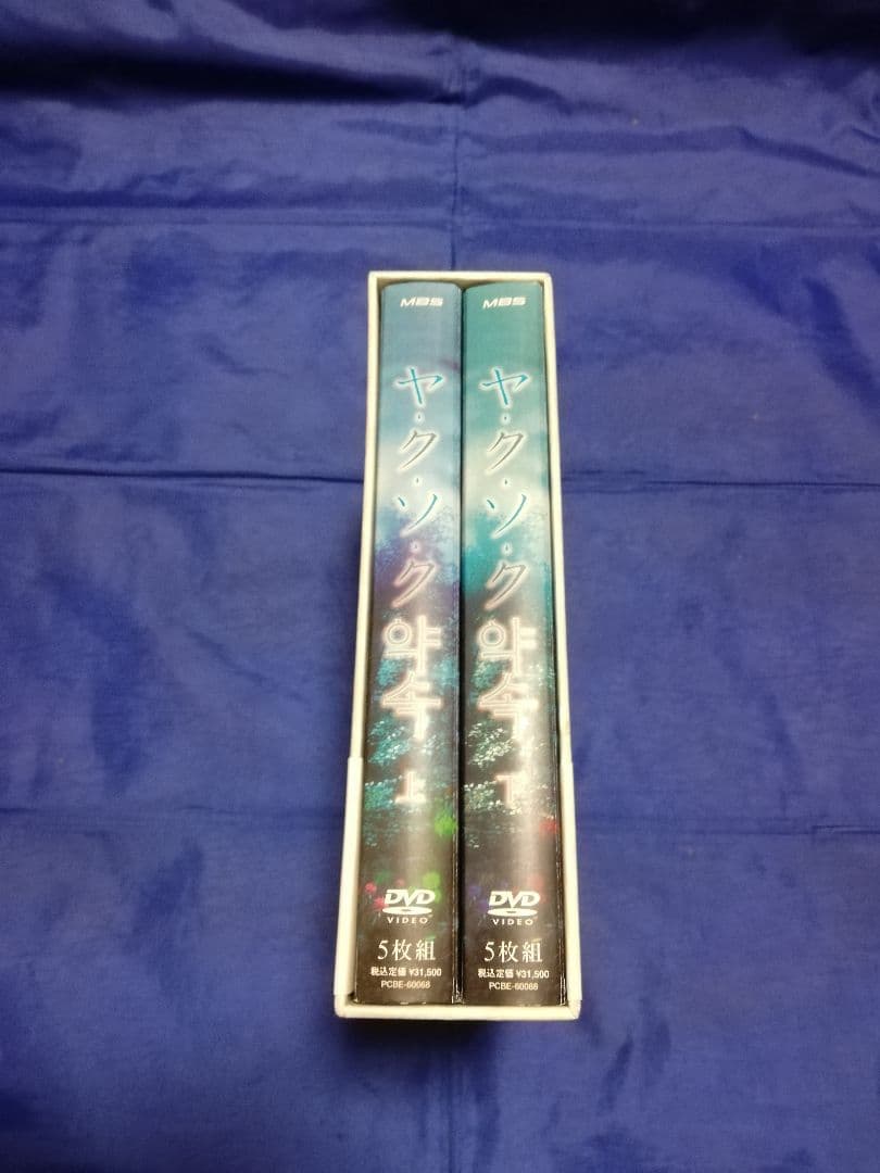 ヤクソク DVD-BOX〈10枚組〉南野陽子