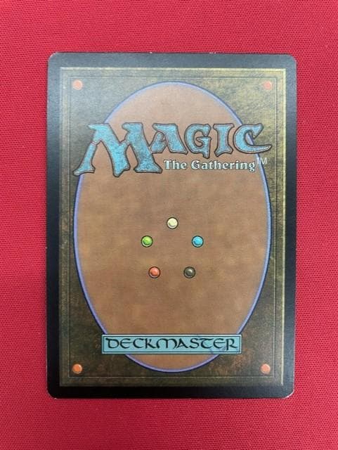 新緑の地下墓地/Verdant Catacombs　英語　Foil