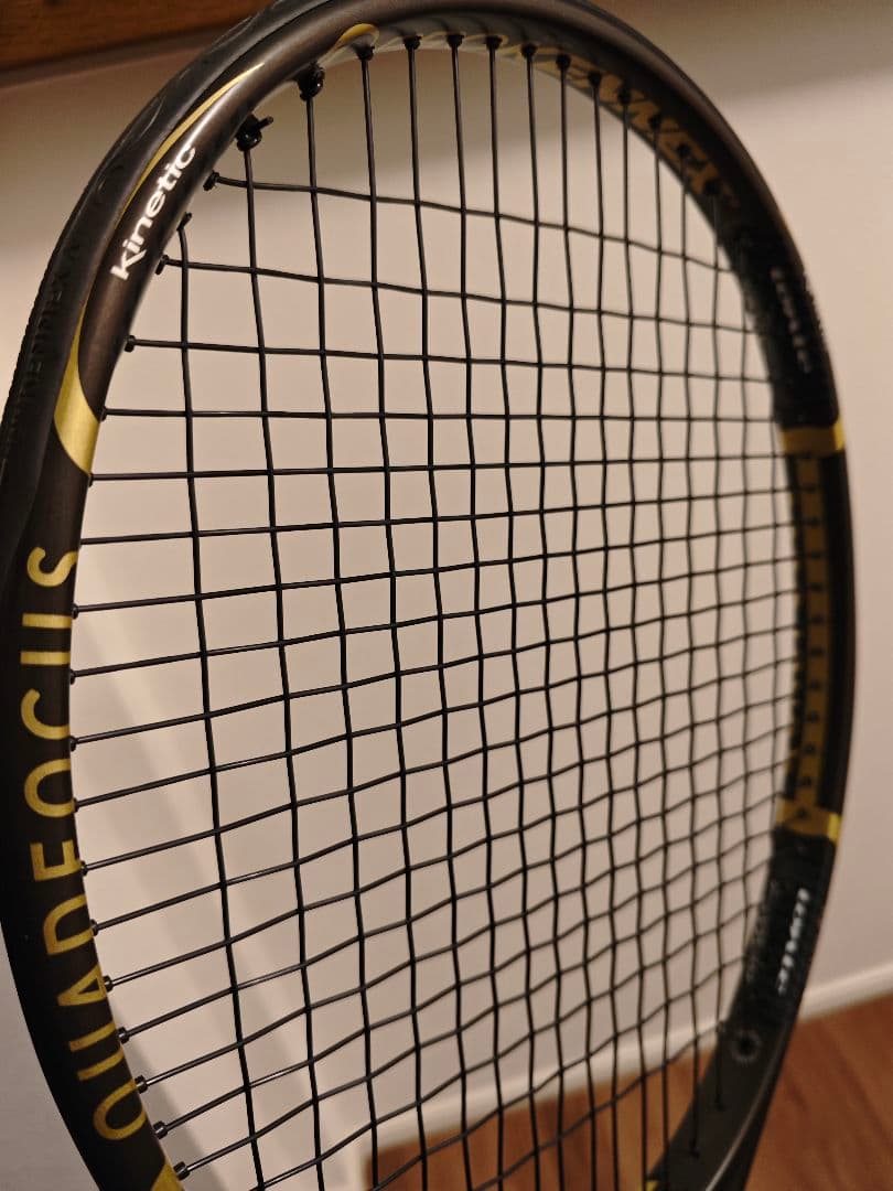 PROKENNEX KINETIC Q+5 PRO グリップ2 ケース付き