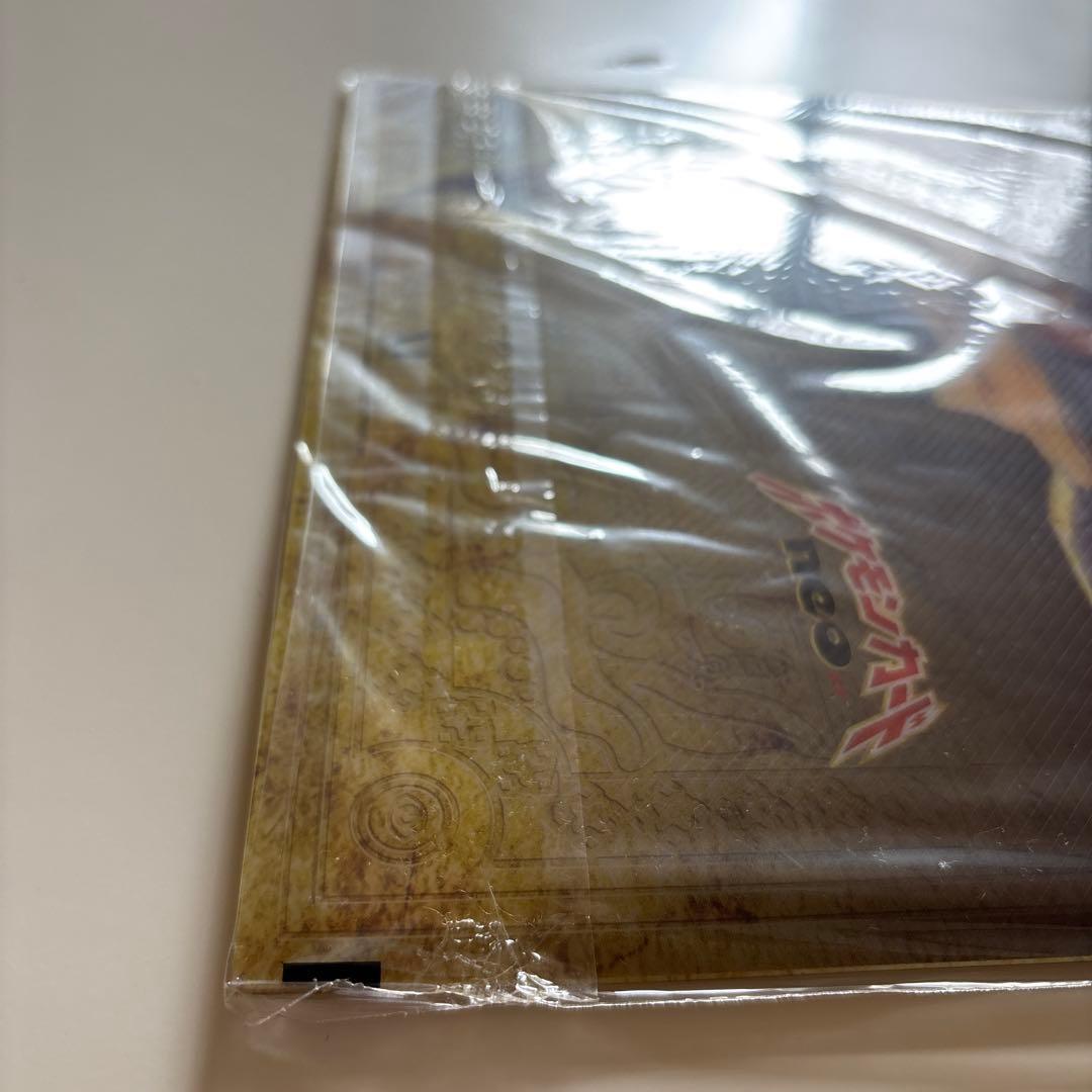 ポケモン プレミアムファイル2 ピチュー・ブラッキー