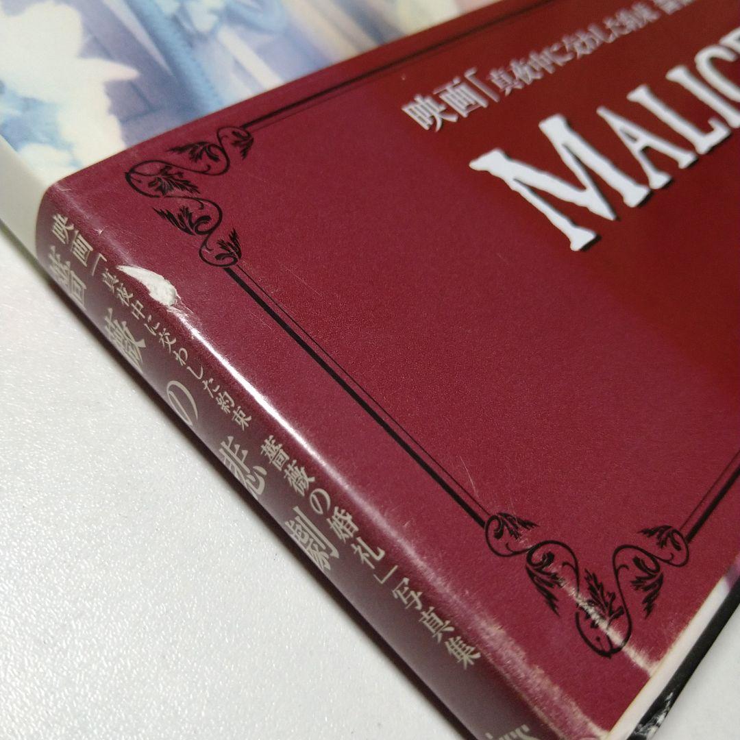 MALICE MIZER 薔薇の悲劇 真夜中に交わした約束 写真集