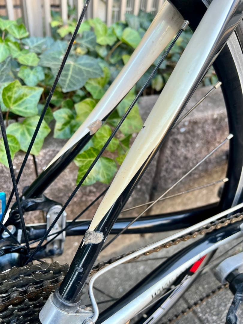 セマス カーボン ロードバイク (SEMAS CR1)