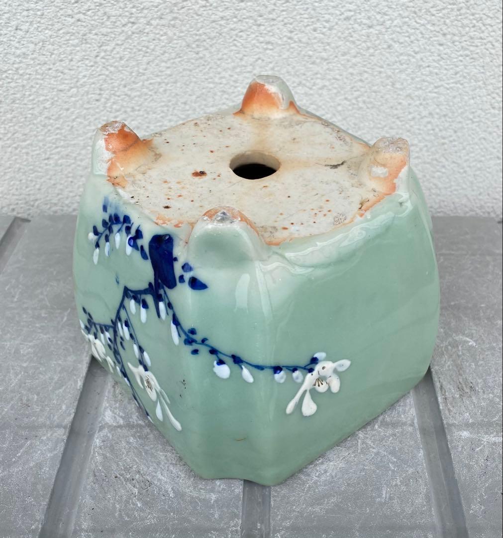 尾張焼 瀬戸焼 青磁 梅柄 角形 盆栽鉢 盆栽 植木鉢