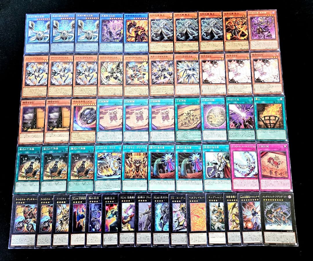 遊戯王 【本格構築‼️】巳剣 ライゼオル 構築済みデッキ‼️ 大会 下準備