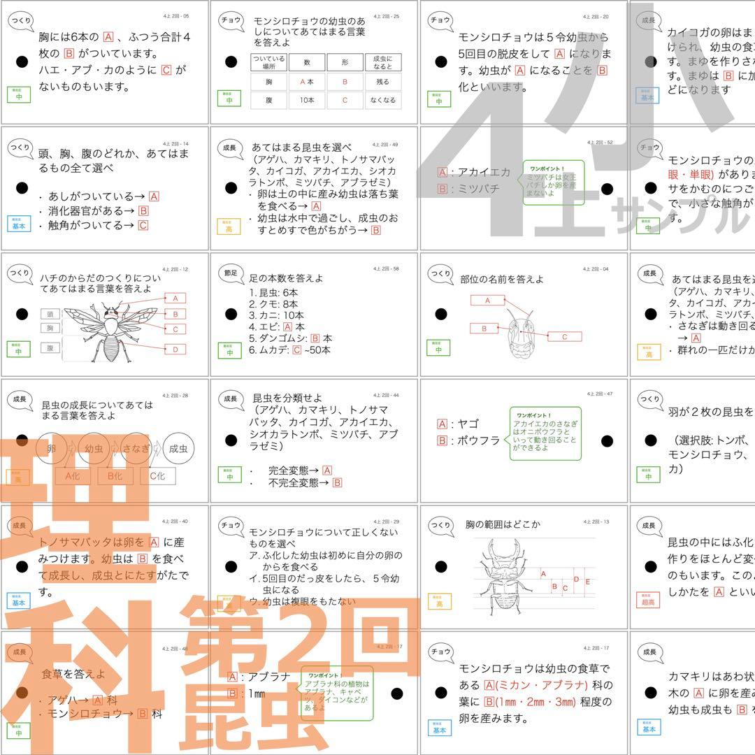 中学受験 暗記カード【4年生向け 理科上下 生物全セット】植物,動物