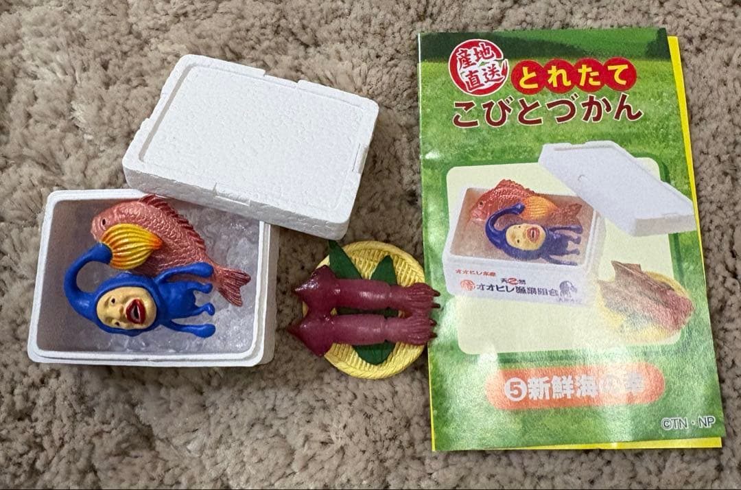 産地直送とれたてこびとづかん　全6種類セット