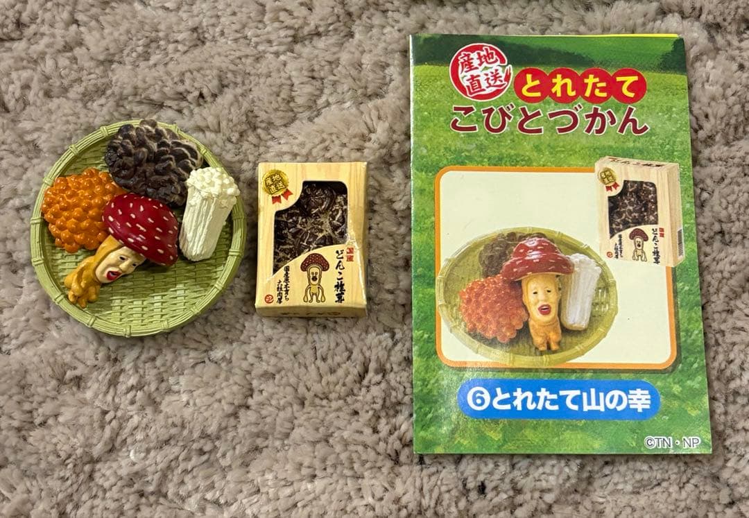 産地直送とれたてこびとづかん　全6種類セット